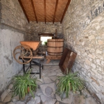 palia_stafylomixani (3)